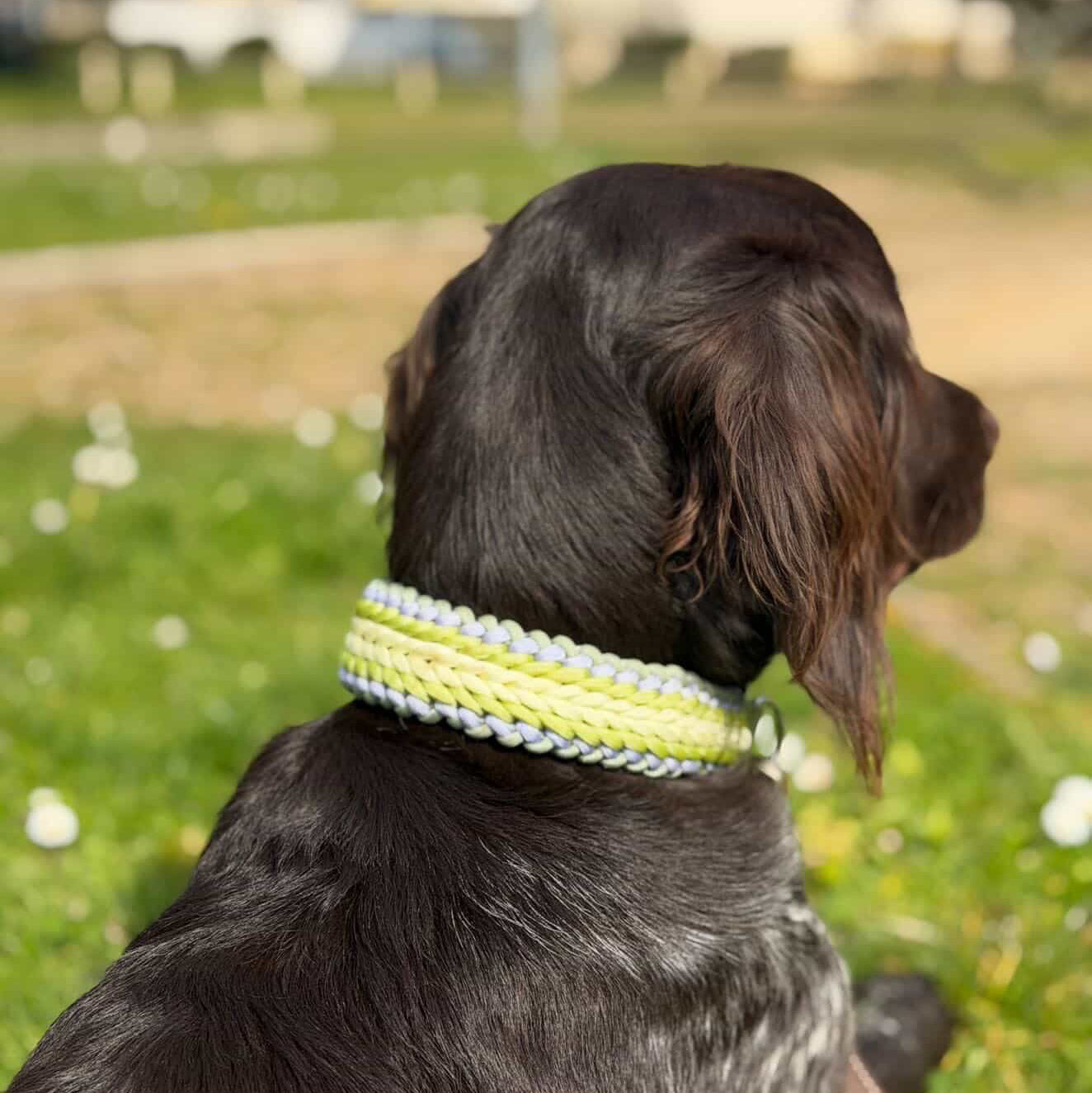 Collier - LUNA